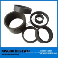 Super Strong Large Multipole Ring Magnet